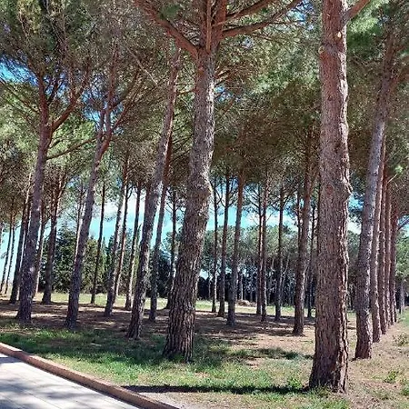 Cocon De Douceur A 10 Min De La Plage Alénya Buitenkant foto